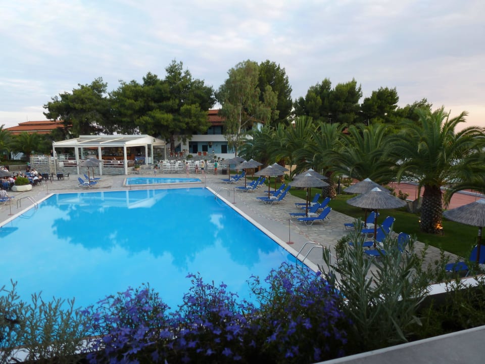 Pool mit Minibecken im Hintergrund Blue Dolphin Resort Hotel