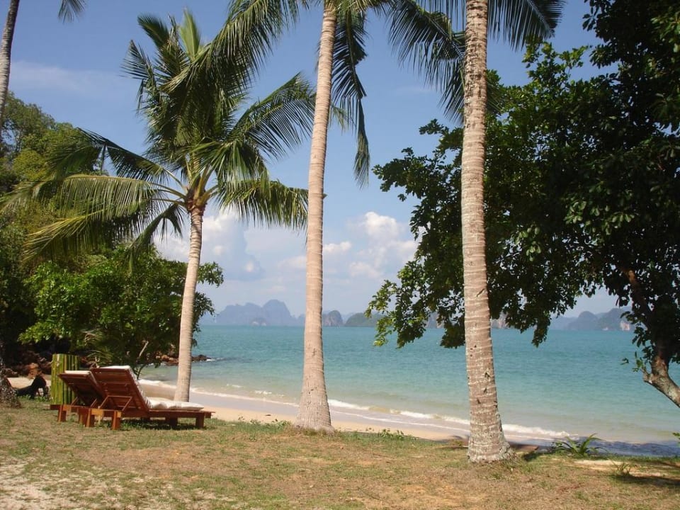 Garten und Pool mit Meerblick Hotel Koyao Island Resort