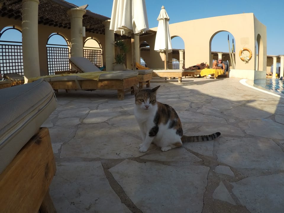 Sonstiges Hotel Three Corners Ocean View prestige - Adults only