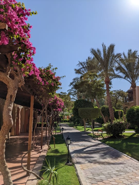 Gartenanlage Jaz Makadi Saraya Resort