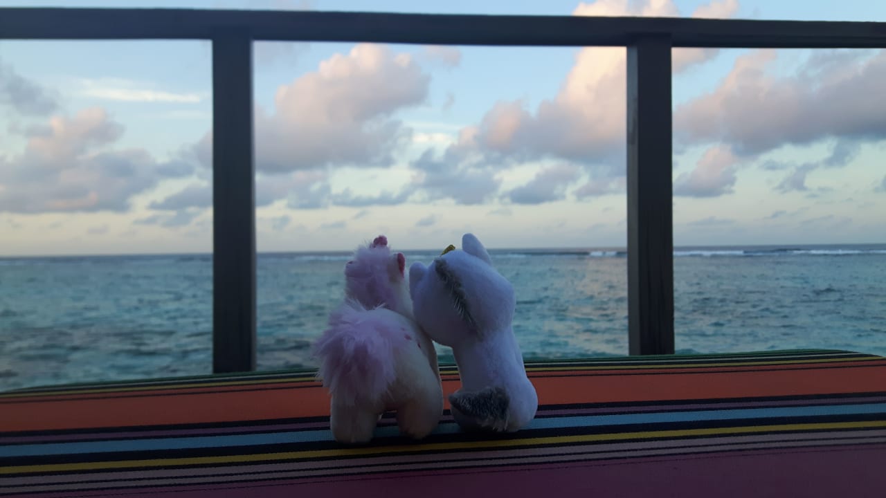 Ausblick Meeru Maldives Resort Island