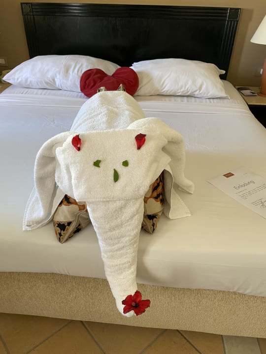 Zimmer Steigenberger Coraya Beach - Adults only