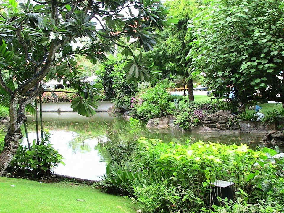 Сад Ayodya Resort Bali