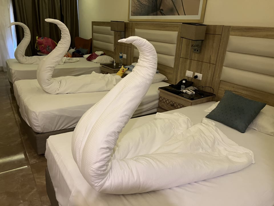 Zimmer Beach Albatros Resort
