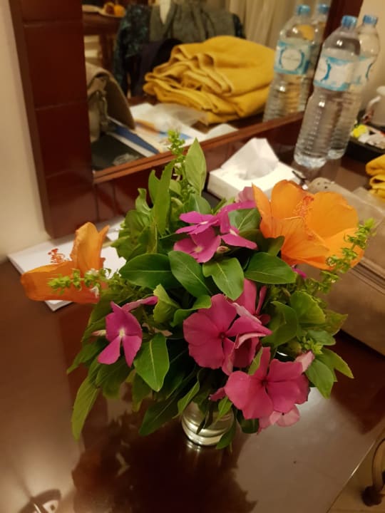 Zimmer Sentido Caribbean World Soma Bay