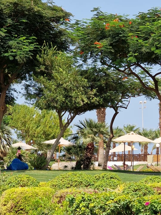 Gartenanlage Steigenberger ALDAU Beach Hotel