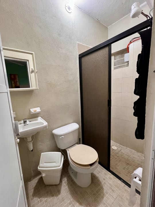 Zimmer El Ultimo Maya