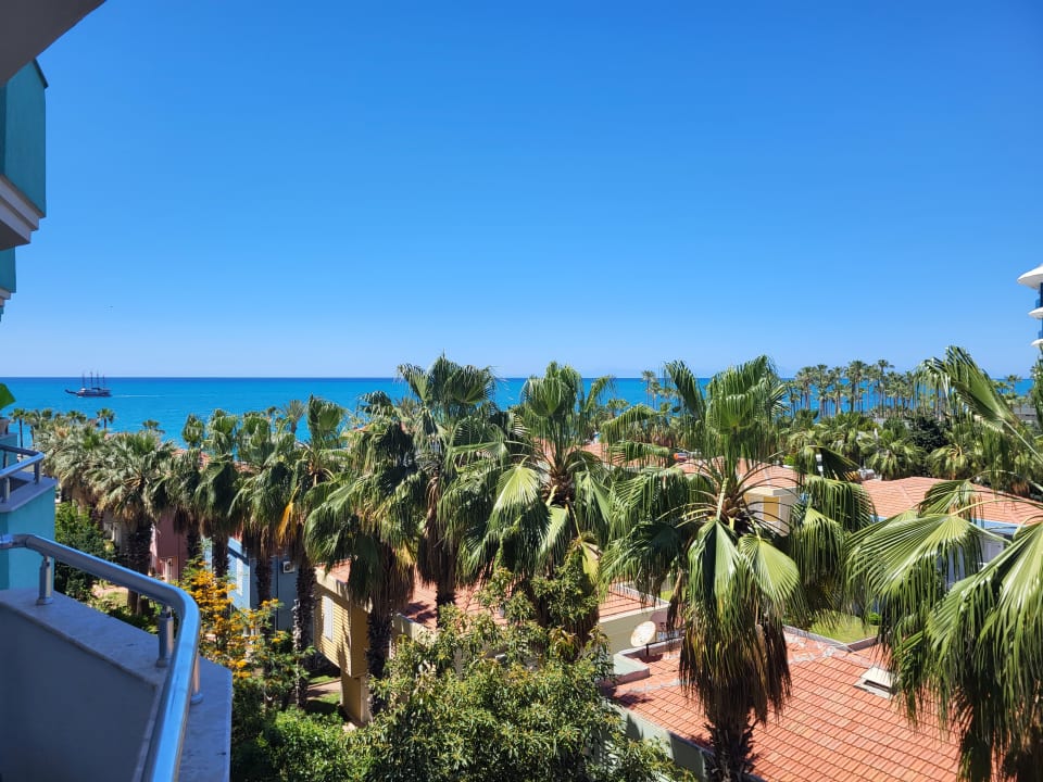 Ausblick Concordia Celes