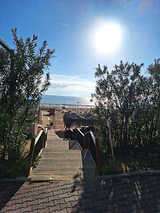 Strand TUI MAGIC LIFE Jacaranda