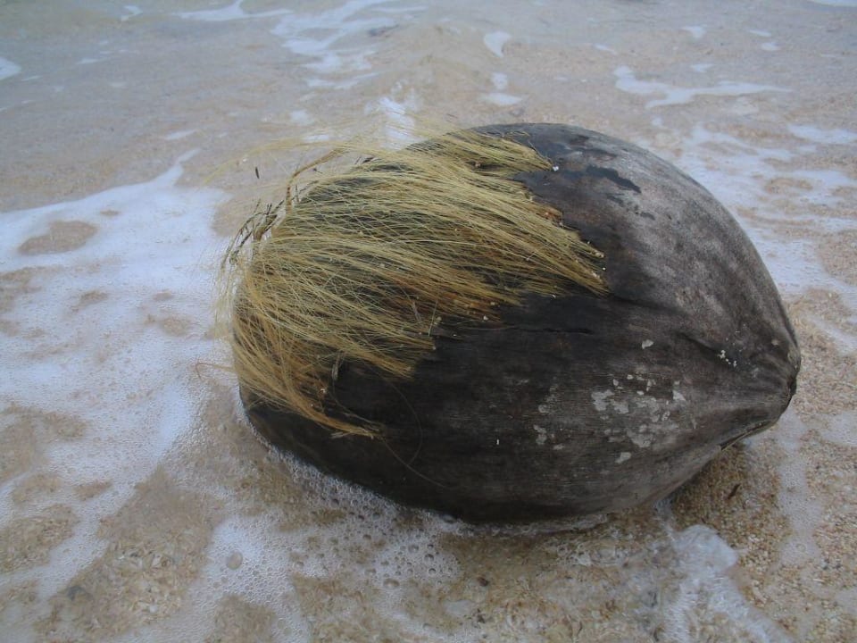 Strandblicke! Hilton Bali Resort