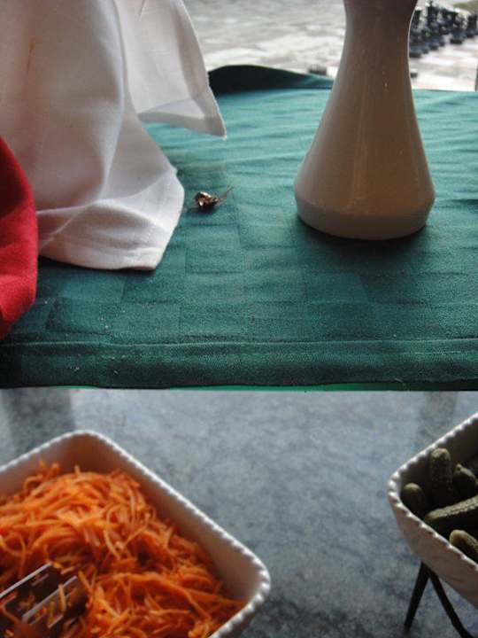 Tote Karkalake Sol Hicacos Varadero