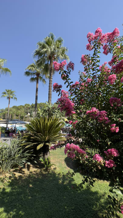 Gartenanlage Barut Hemera