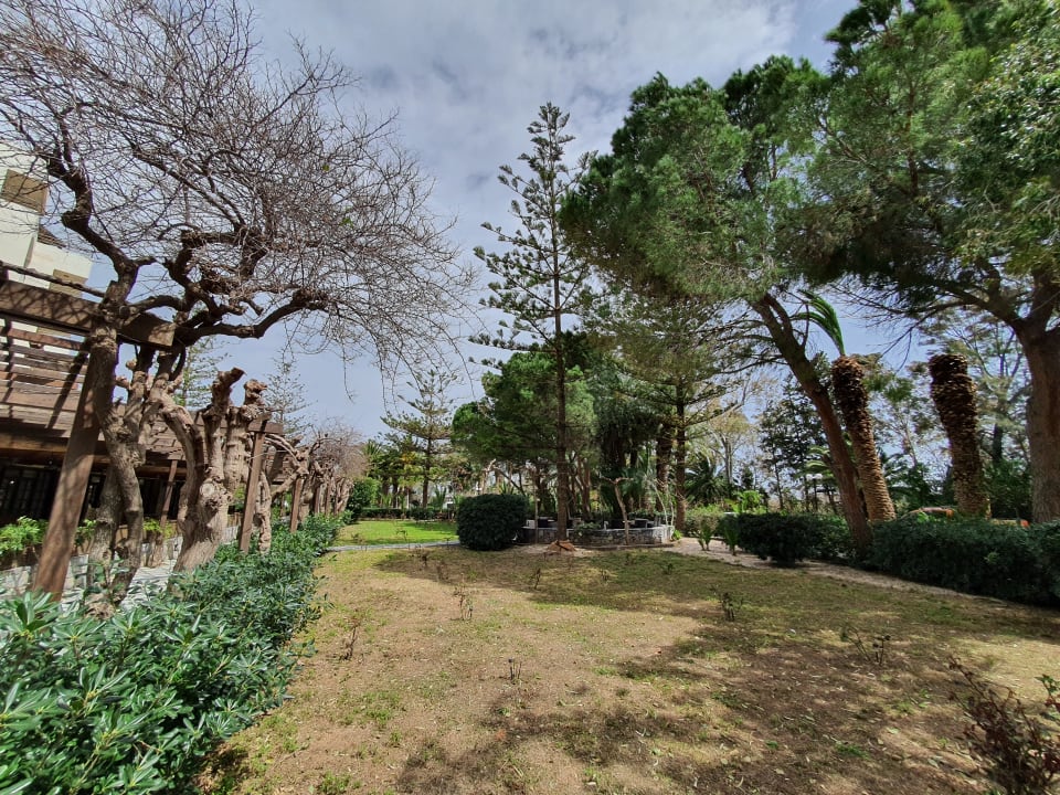 Gartenanlage Apollonia Beach Resort & Spa