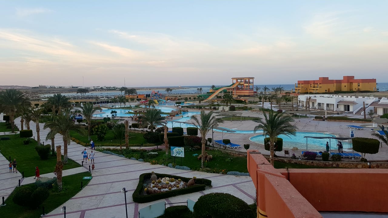 Ausblick Malikia Resort Abu Dabbab