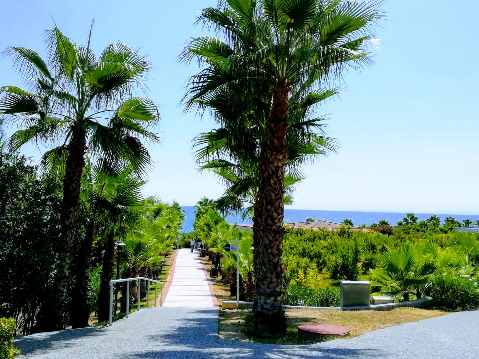Ausblick Alba Resort Hotel