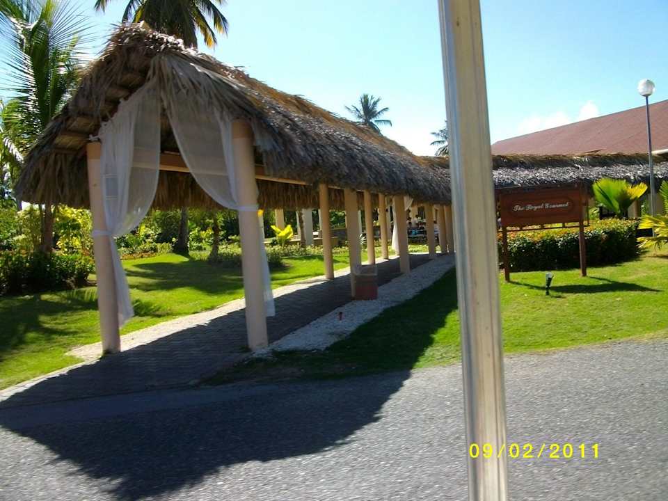 Spaziergang  Grand Palladium Select Bávaro Resort & Spa