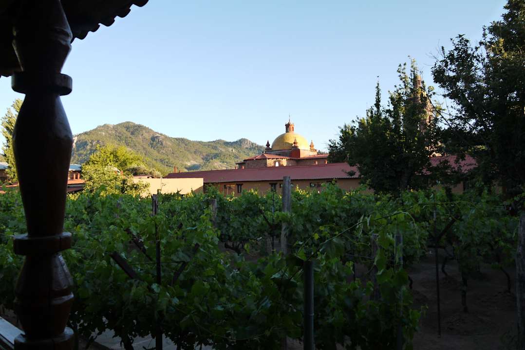 Wein im Hotelgarten Hotel Mision