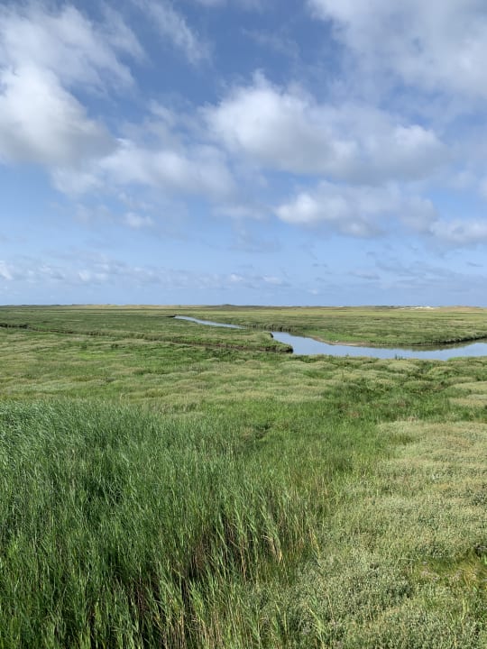 Außenansicht Hotel Strandburg