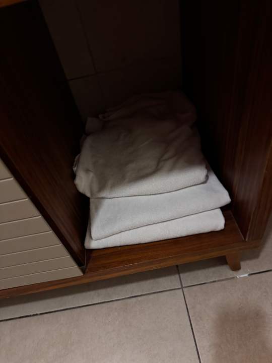 Zimmer Well Palace Side