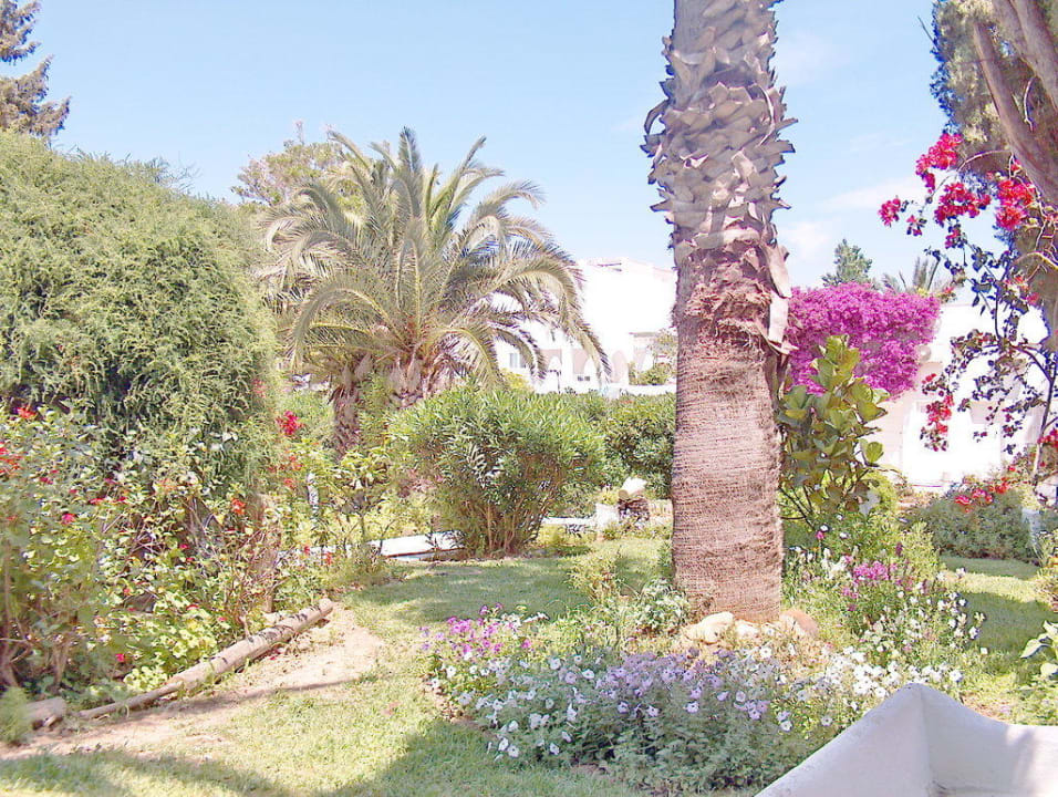 einfach schön The Orangers Beach Resort and Bungalows
