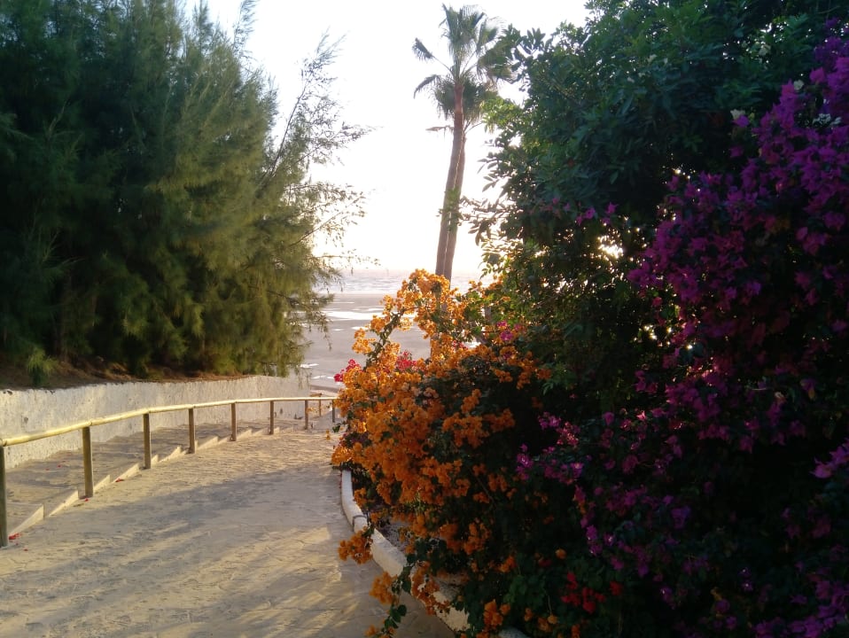 Strand Paradisus by Meliá Fuerteventura
