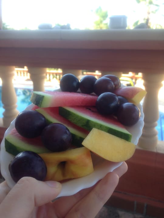 Gastro Finca Montana