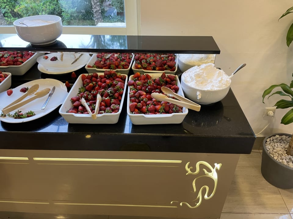 Gastro Hotel Delphin Diva