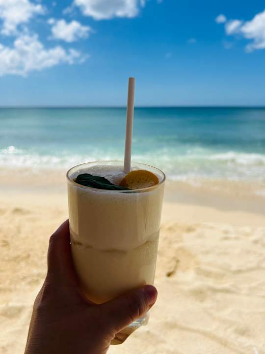 Strand Le Meridien Ile Maurice