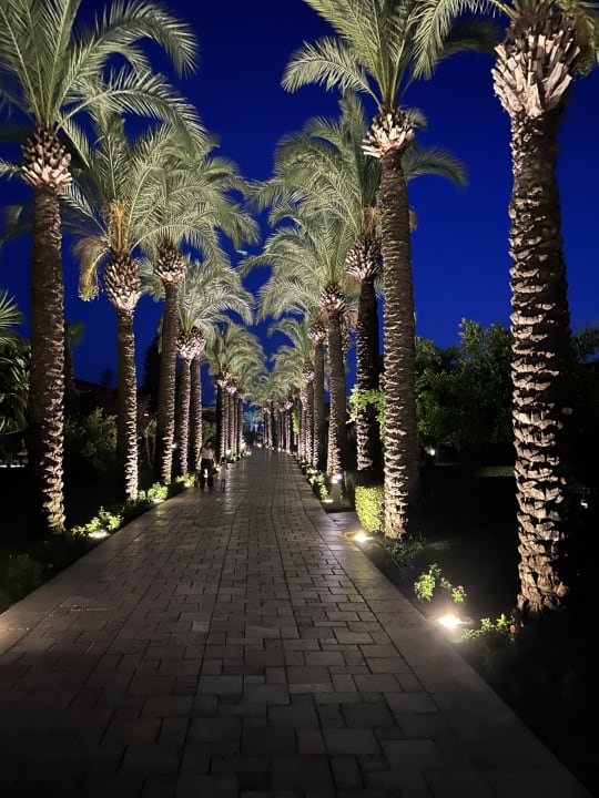Gartenanlage TUI BLUE Palm Garden