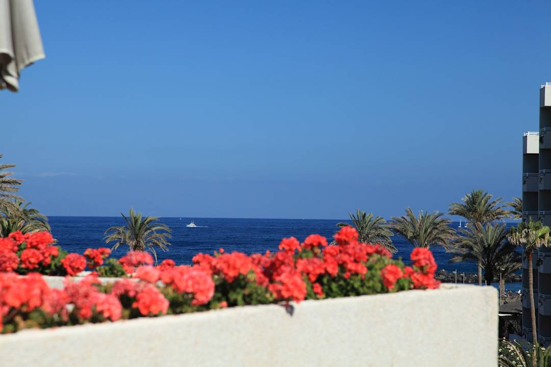 Meerblick Alexandre Hotel Gala