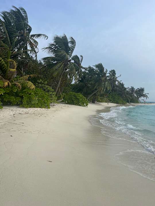 Strand Summer Island Maldives