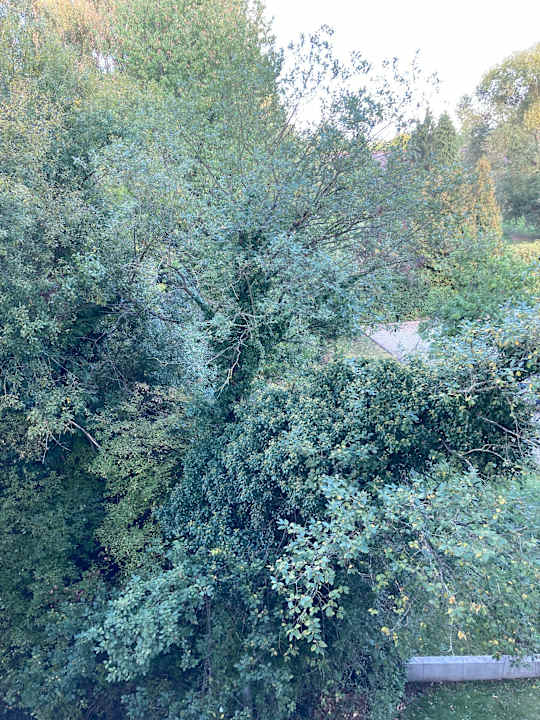 Außenansicht Best Western Plaza Hotel Zwickau