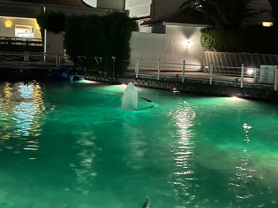 Pool Pickalbatros Dana Beach Resort - Hurghada