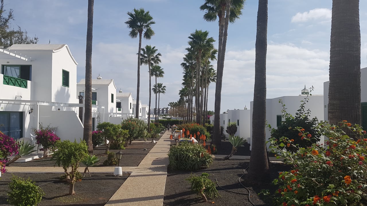 Gartenanlage Hotel Hyde Park Lane