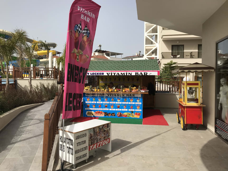 Gastro Seashell Vega