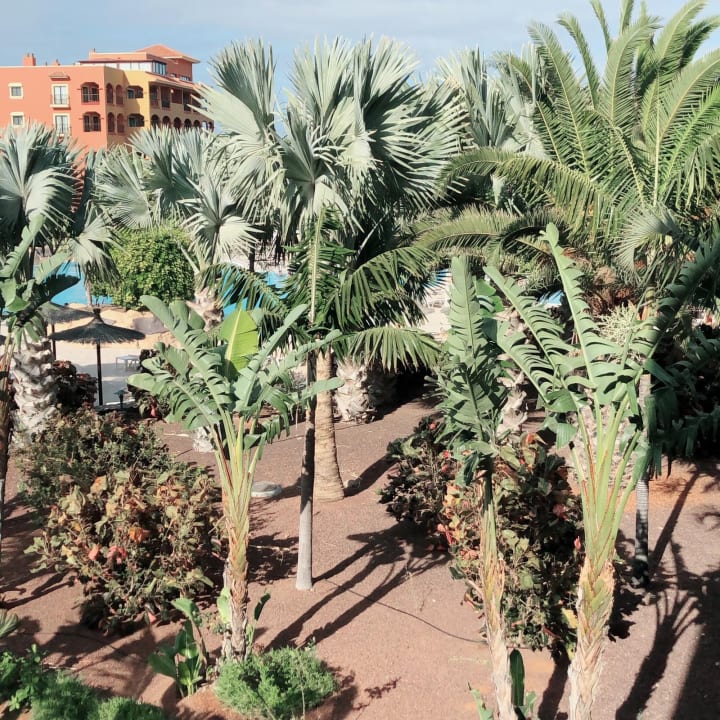 Ausblick Sheraton Fuerteventura Golf & Spa Resort