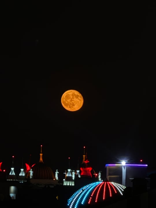 Sonstiges Aydinbey Kings Palace & Spa