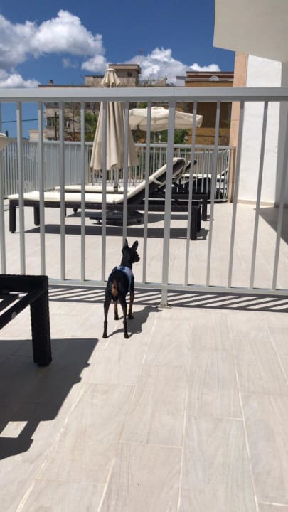 Zimmer JS Palma Stay