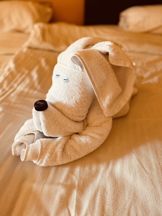 Zimmer Arabia Azur Resort