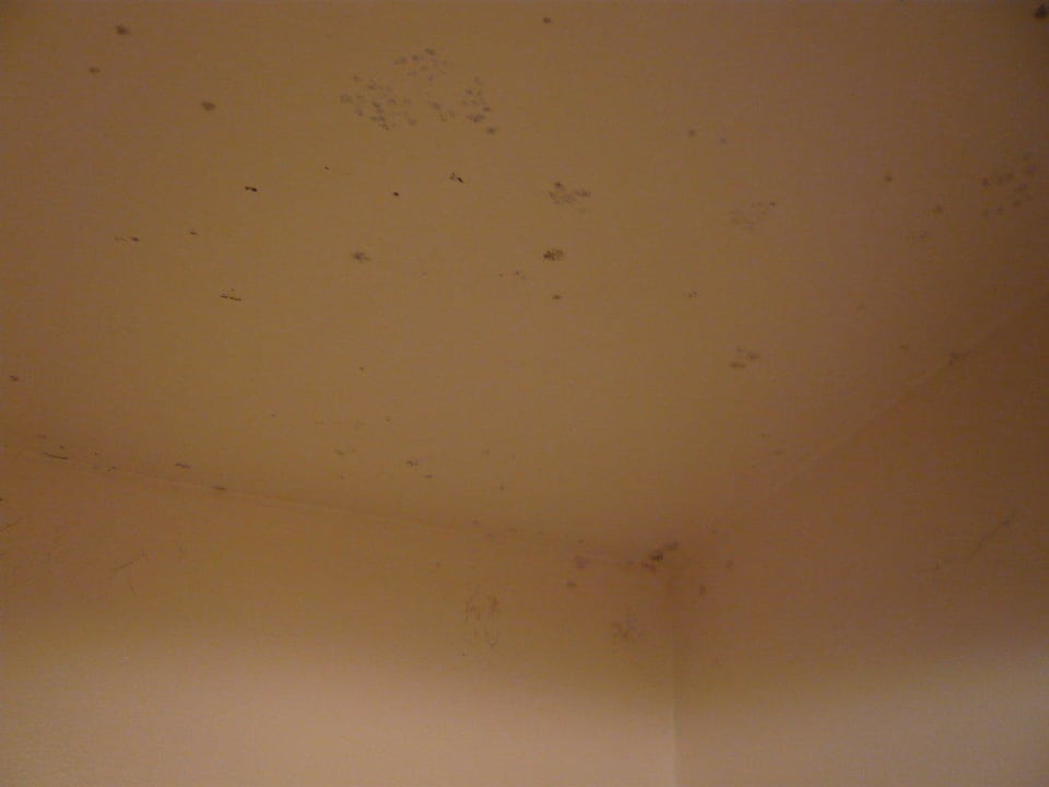 Schimmel über der Dusche Hotel Grant Plaza