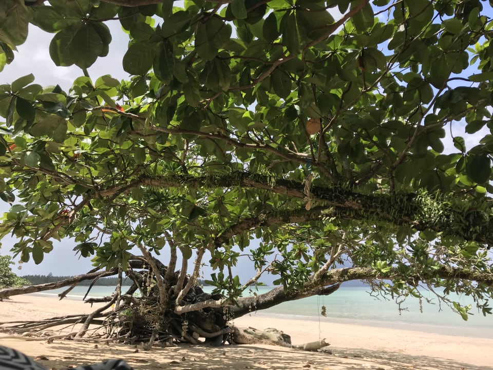Strand Kantary Beach Hotel - KHAO LAK