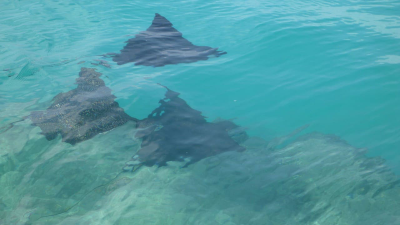 Adlerrochen Adaaran Select Hudhuran Fushi - Premium All Inclusive