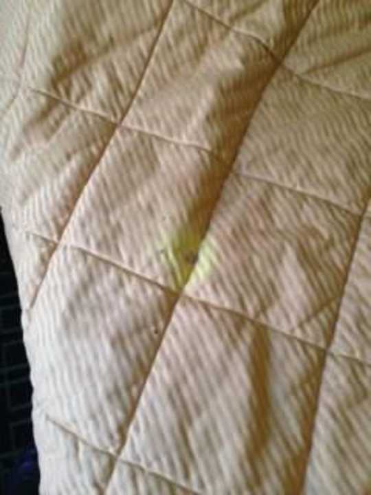 Bettdecke Hostel Budget Inn Hollywood