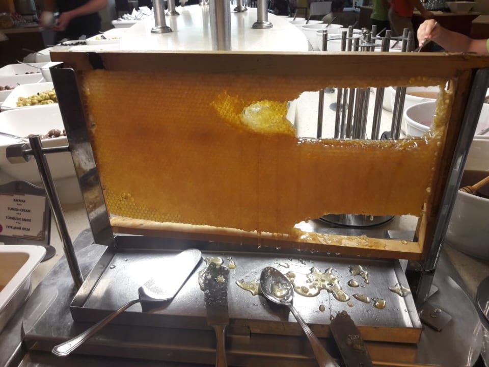 Restaurant Arum Barut Collection