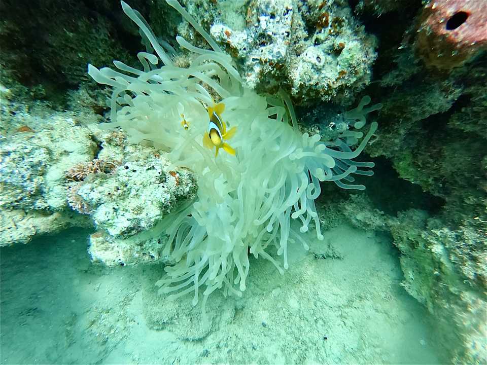 Sport & Freizeit Coral Hills Resorts & SPA