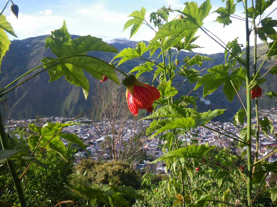 Vista a Banios B&B La Casa Amarilla