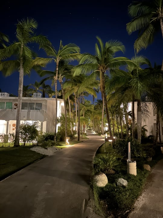 Gartenanlage Meliá Punta Cana Beach Resort - A Wellness Inclusive For Adults Only