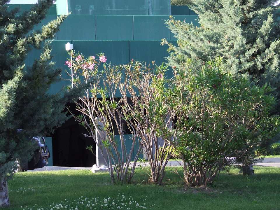 Top Wyndham Grand Novi Vinodolski Resort - The View & Family Apartments