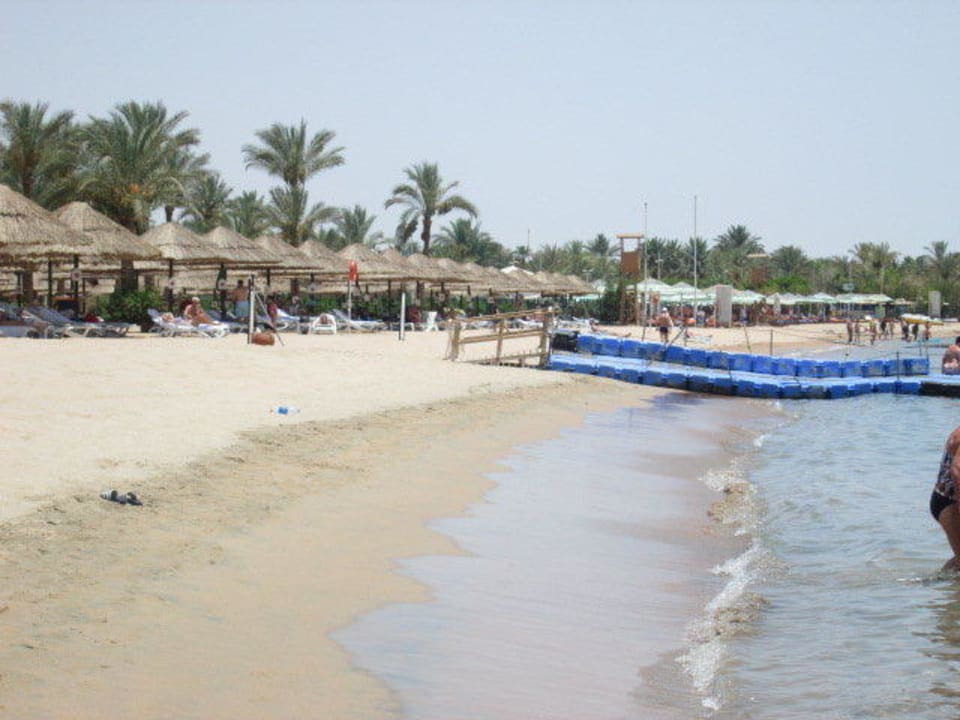 Feiner Srand Ghazala Gardens