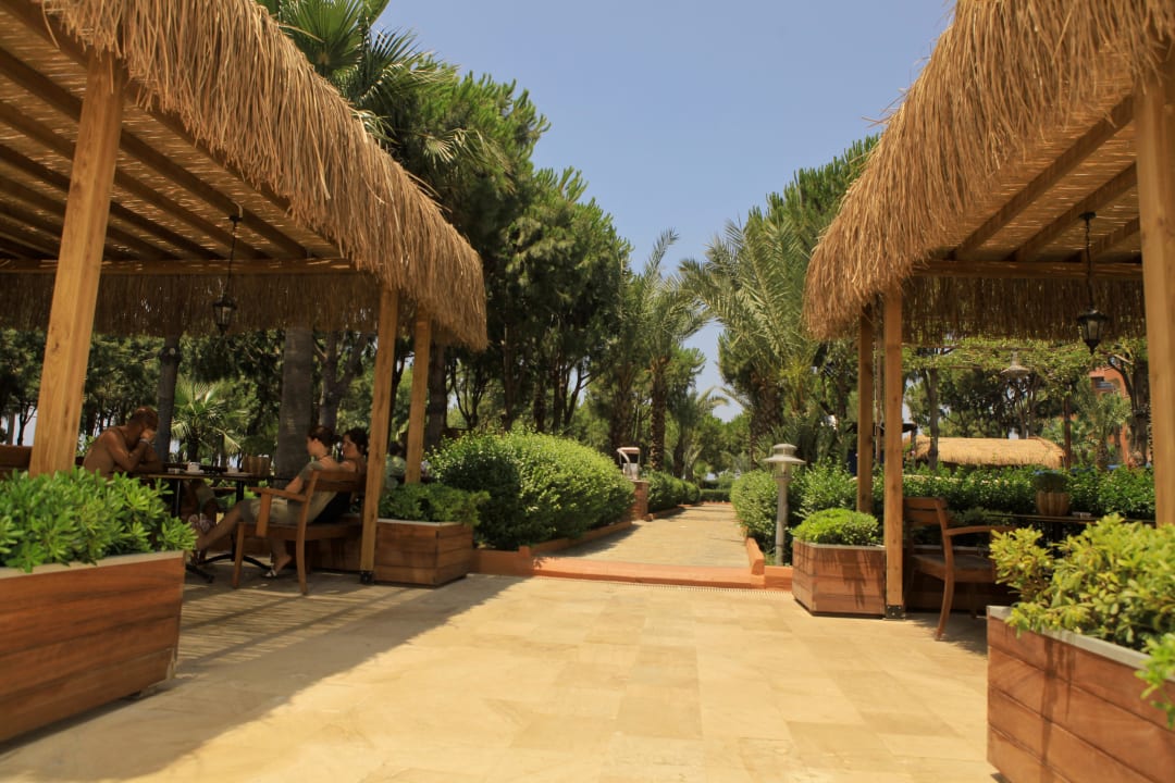 Ambiente pool bar Club Turtas Beach Hotel